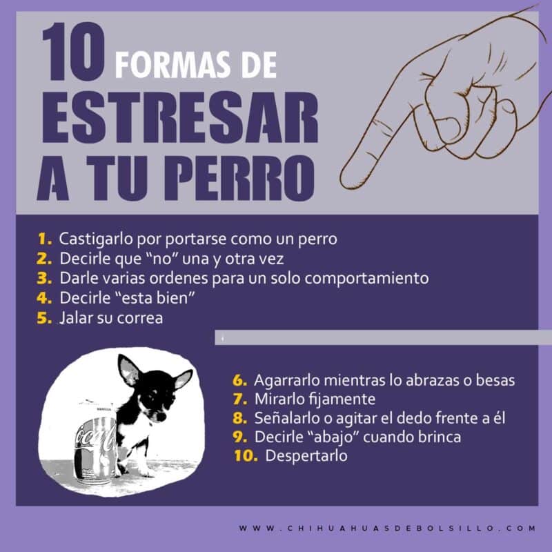 Situaciones que generan estres en tu perro