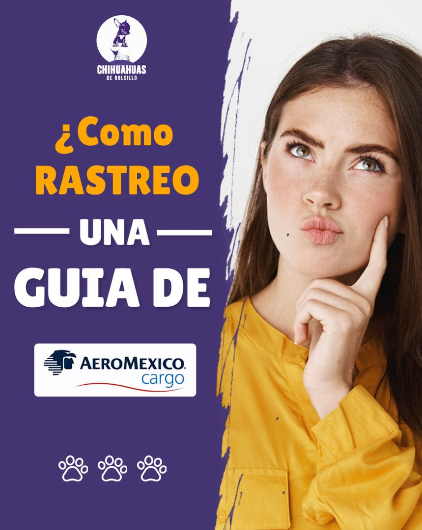 rastreo de guia de aeromexico cargo