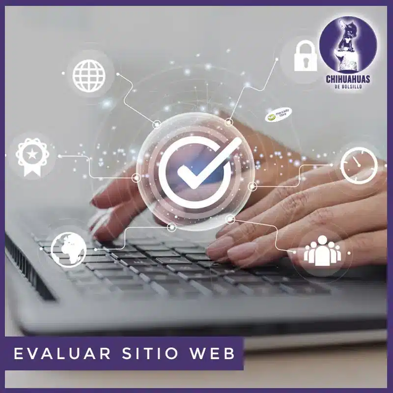 Evalua sitio web