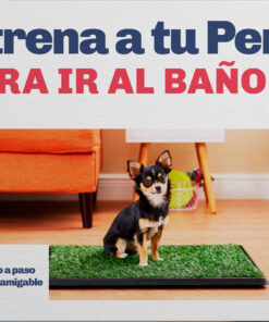 Guía: "Entrena a tu Perro para ir al Baño" - Paso a Paso