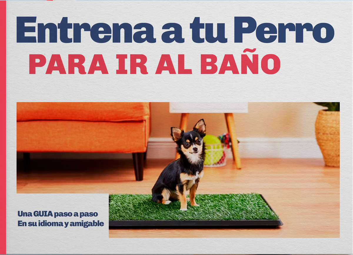 Guía: "Entrena a tu Perro para ir al Baño" - Paso a Paso