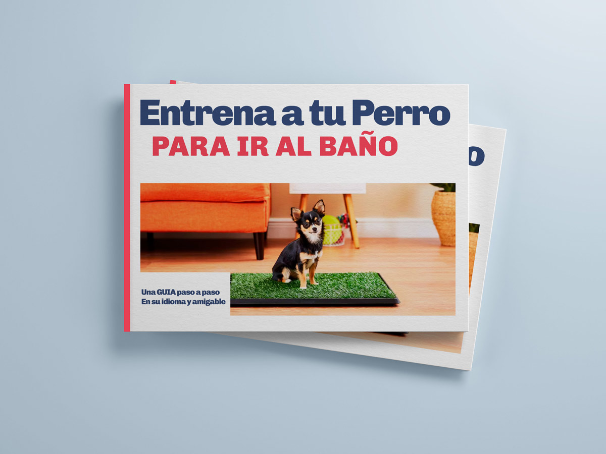 Guía: "Entrena a tu Perro para ir al Baño" - Paso a Paso - Imagen 2